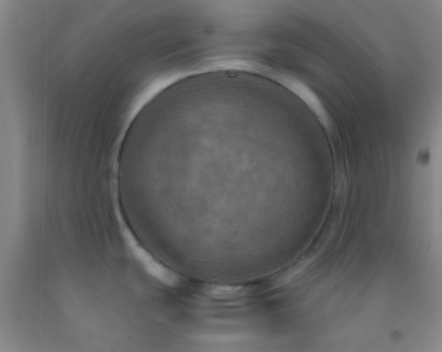 X0000092021439200709201543