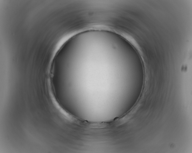 X0000092021440200709201543