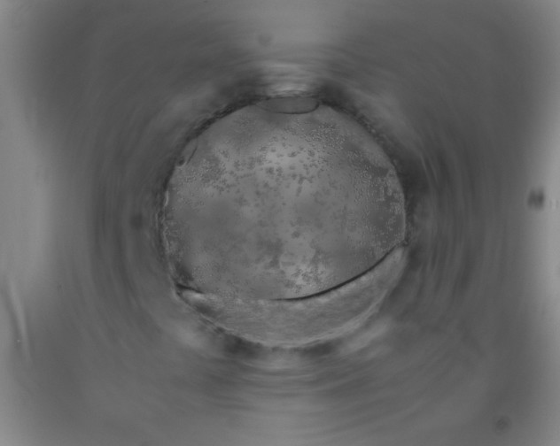 X0000092021441200709201542