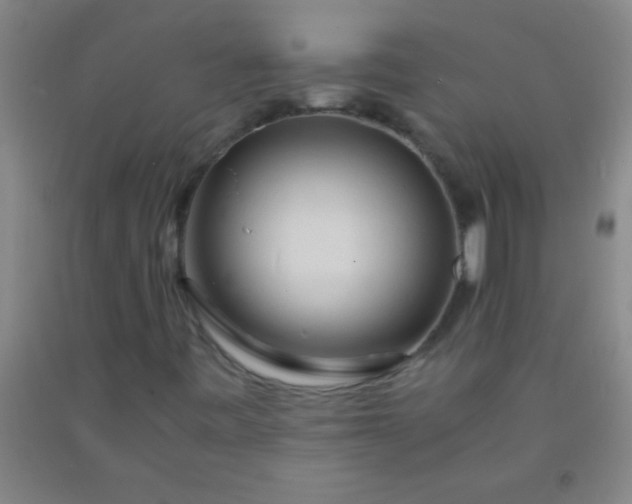 X0000092021443200709201542