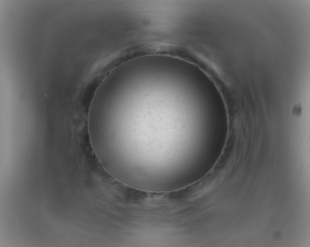 X0000092021447200709201542