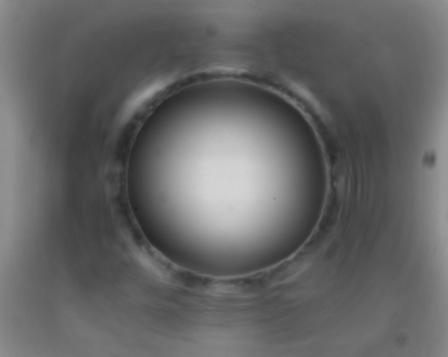 X0000092021448200709201542