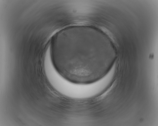 X0000092021449200709201542