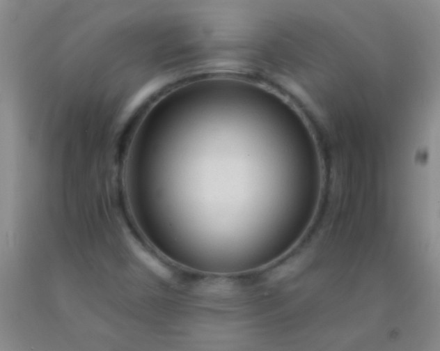 X0000092021450200709201542