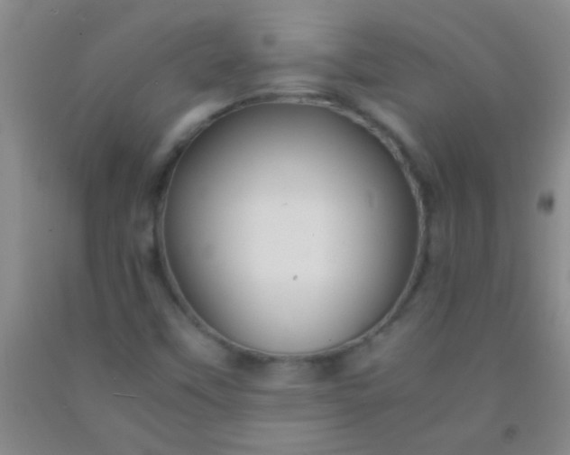 X0000092021451200709201542