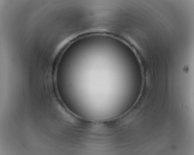 X0000092021452200709201542