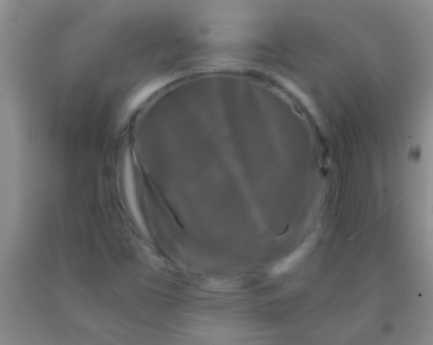 X0000092021453200709201542