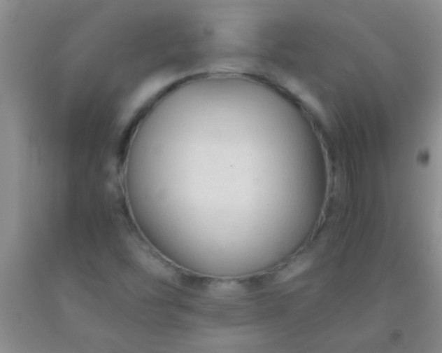 X0000092021454200709201542