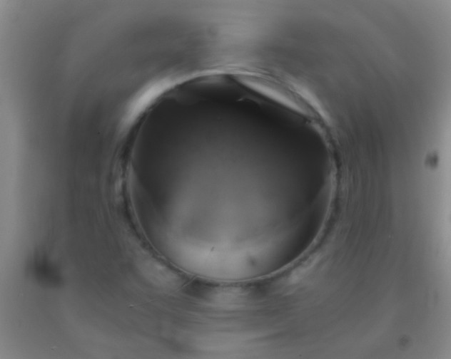 X0000092021455200709201542