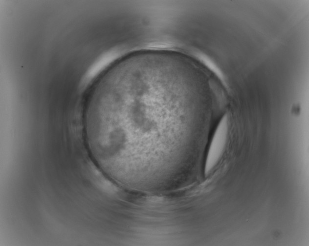 X0000092021456200709201542