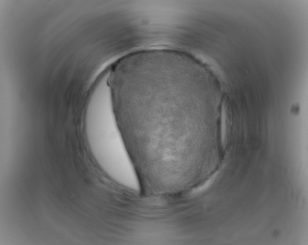 X0000092021457200709201542