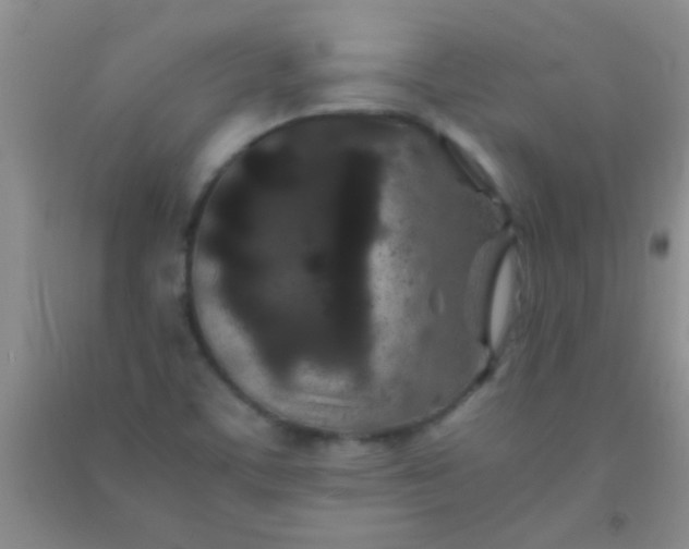 X0000092021459200709201542