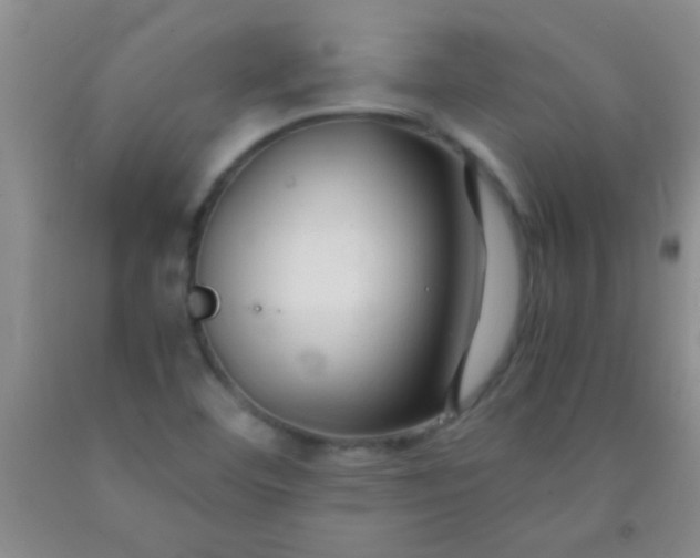 X0000092021460200709201542