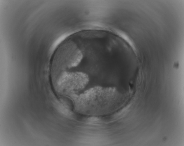 X0000092021463200709201542