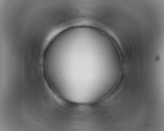 X0000092021464200709201542