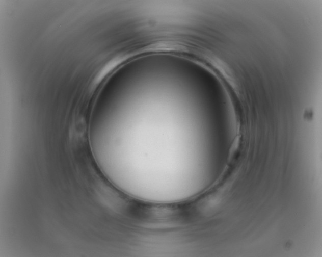 X0000092021465200709201542