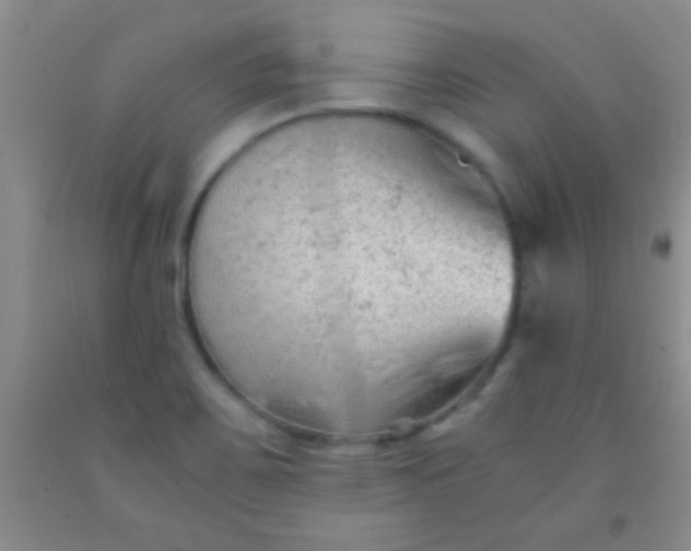 X0000092021467200709201542