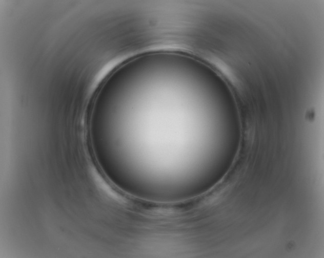 X0000092021468200709201542