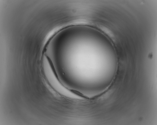 X0000092021469200709201542