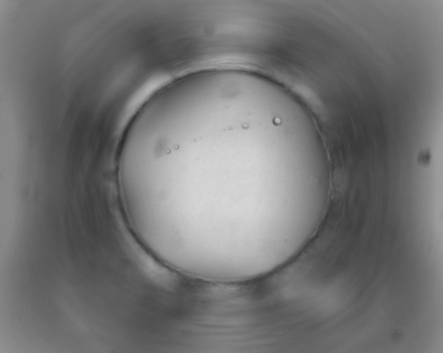 X0000092021470200709201542