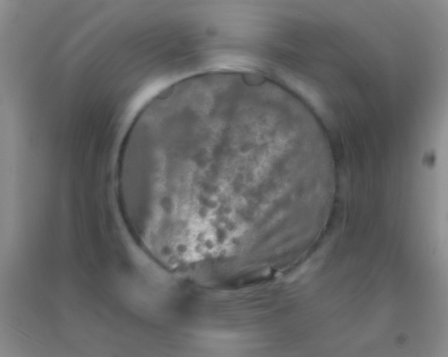 X0000092021471200709201542