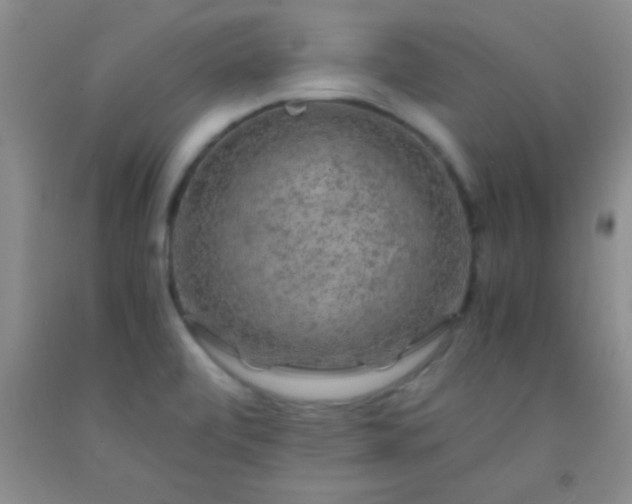 X0000092021472200709201542