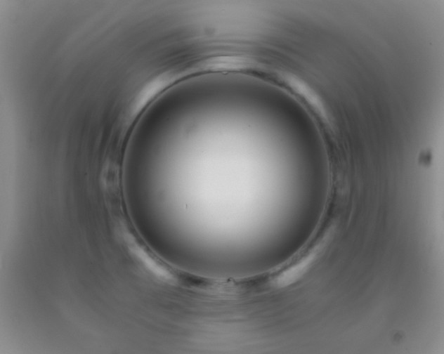 X0000092021473200709201542