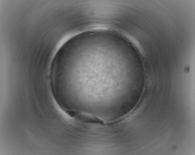 X0000092021475200709201542