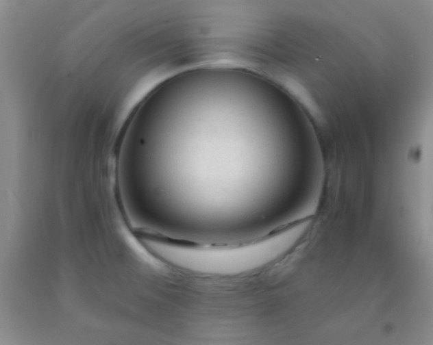 X0000092021476200709201542