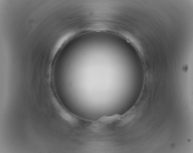 X0000092021477200709201542