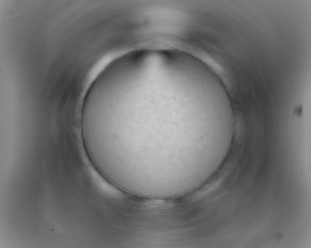 X0000092021478200709201542