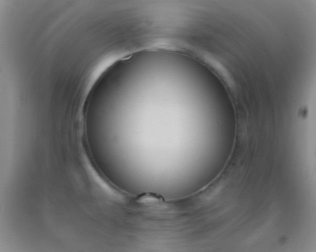 X0000092021479200709201542