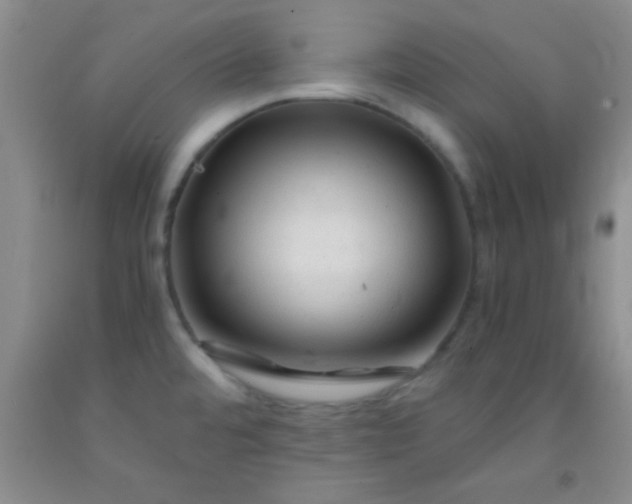 X0000092021480200709201542