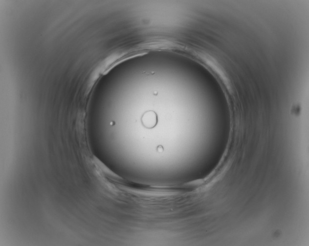 X0000092021481200709201542