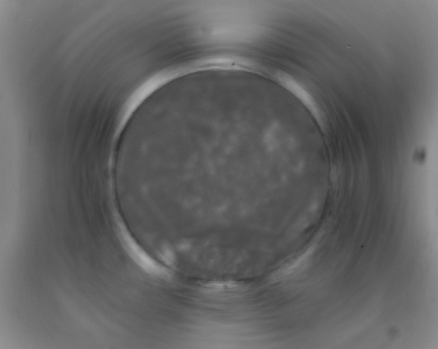 X0000092021482200709201542