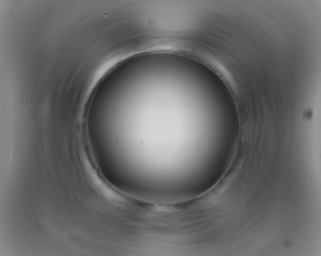 X0000092021483200709201542