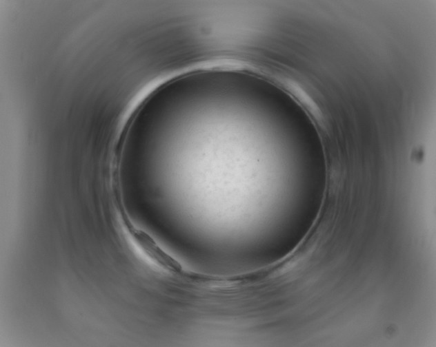 X0000092021484200709201542