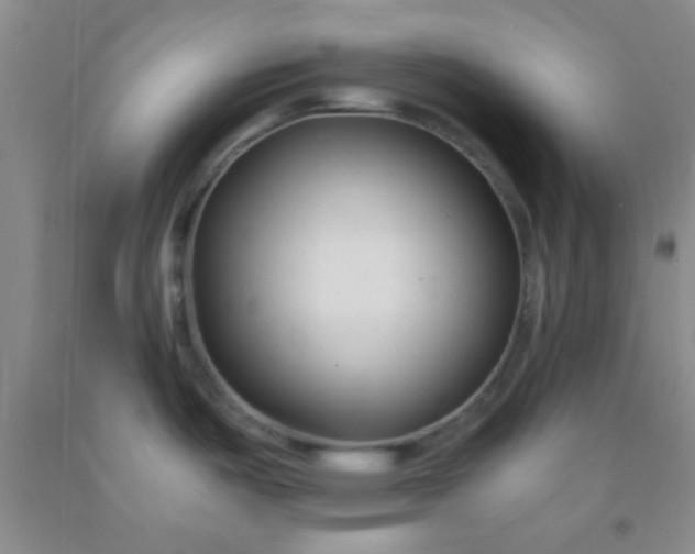 X0000092021487200709201542