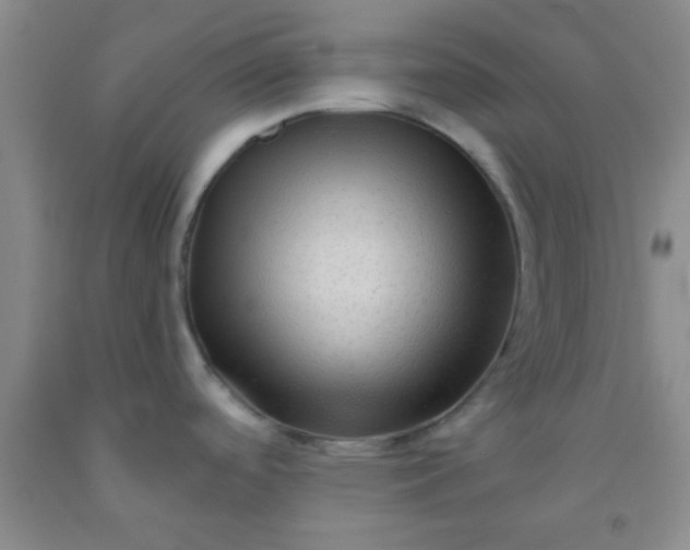 X0000092021488200709201542