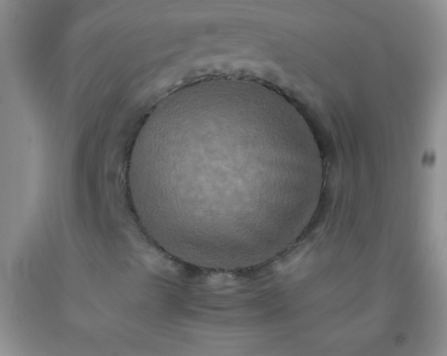 X0000092021489200709201541