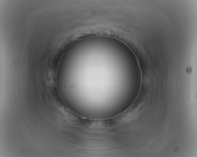 X0000092021490200709201541