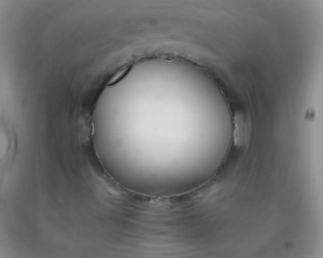 X0000092021491200709201541