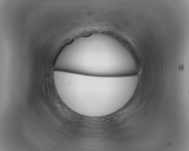 X0000092021492200709201541