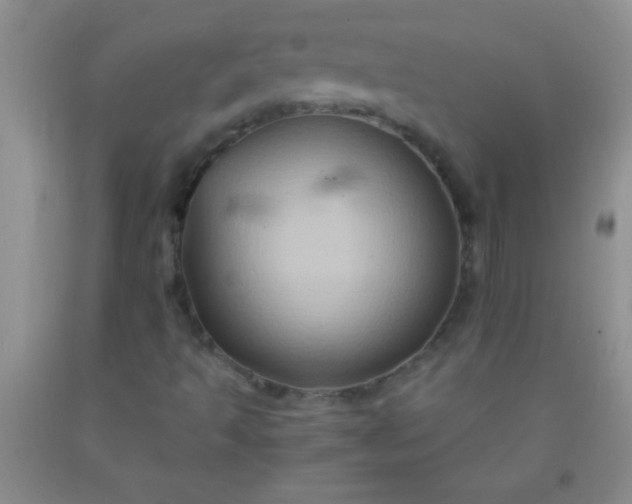 X0000092021493200709201541