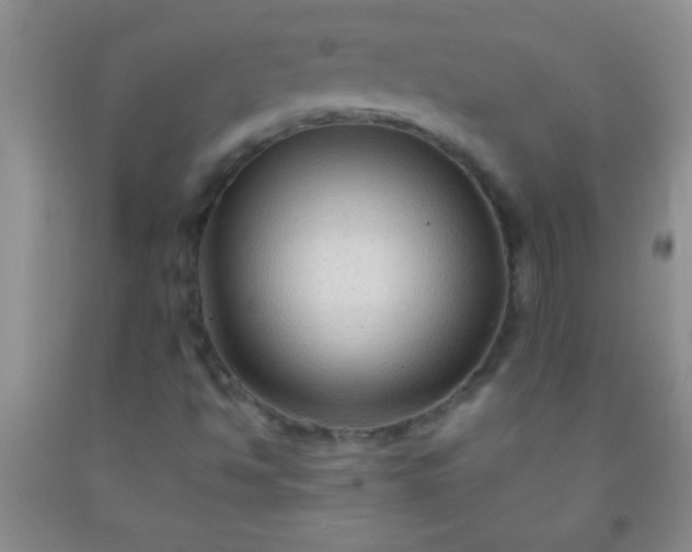 X0000092021494200709201541