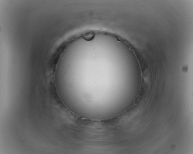 X0000092021495200709201541