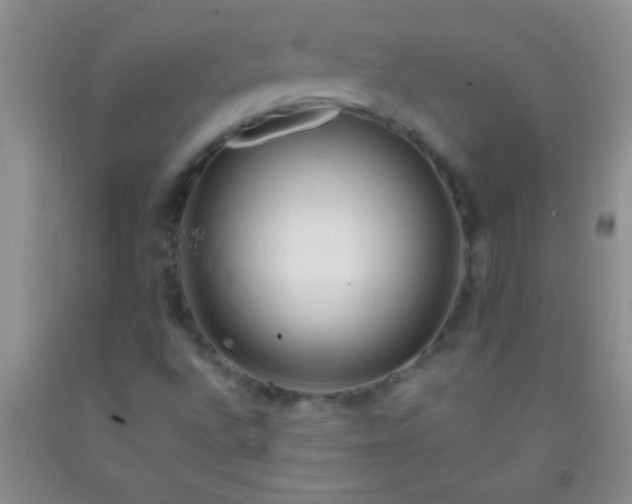 X0000092021496200709201541