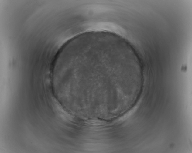 X0000092021497200709201541