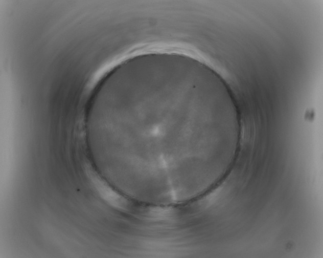 X0000092021498200709201541