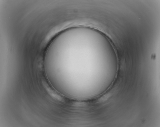 X0000092021499200709201541